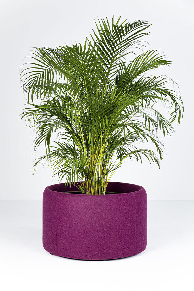 Fleur acoustique pot