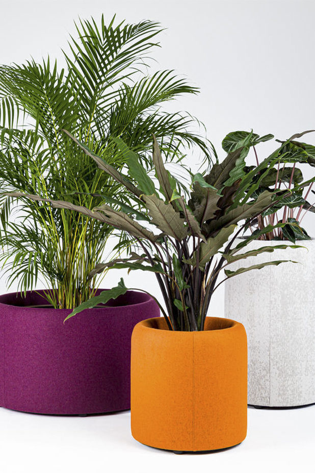 Plante décorative acoustique