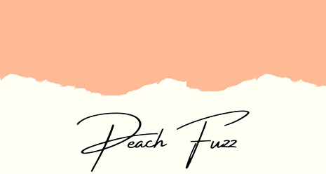 Peach Fuzz couleur tendance 2024