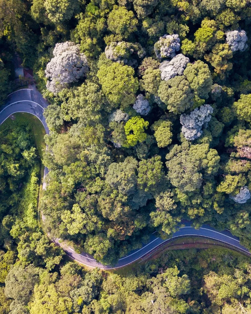 normes environnementales pour les espaces de travail